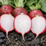 het-geheim-van-perfect-zoete-radijs-zonder-holte-of-scherpte.png